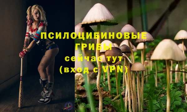 круглые Богородицк