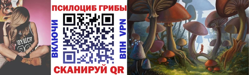 Псилоцибиновые грибы Psilocybe  где купить   Горняк 
